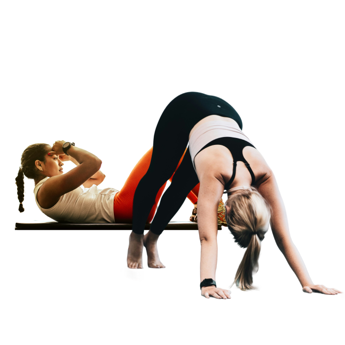 Fitness